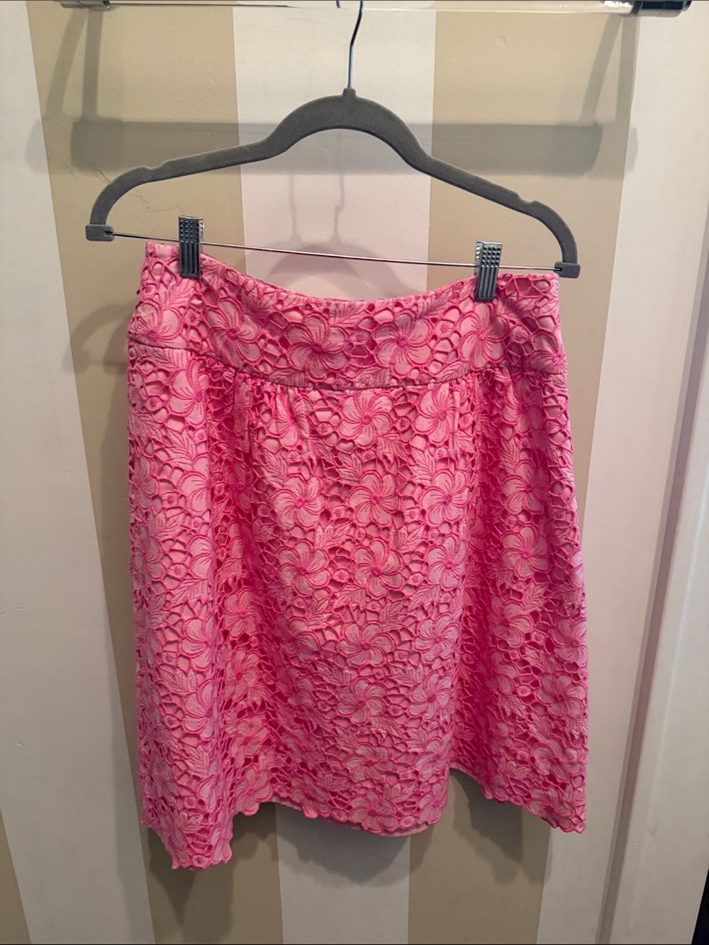 Lilly Pulitzer Floral Lace Pink A-Line Skirt